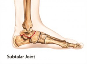 Subtalar Joint - Foot Anatomy Diagram - Lisa Howell - The Ballet Blog