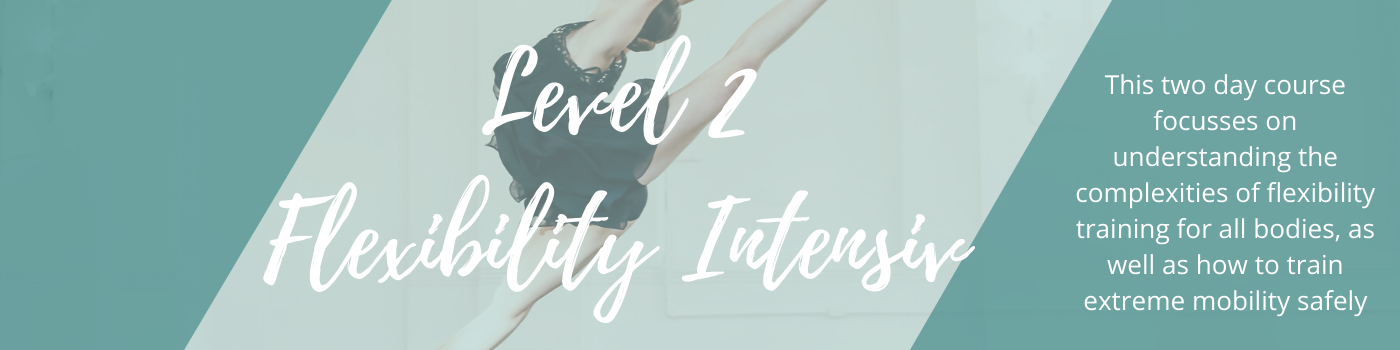 Level 2 Teacher Training Flexibility Train Extreme Mobility Safely