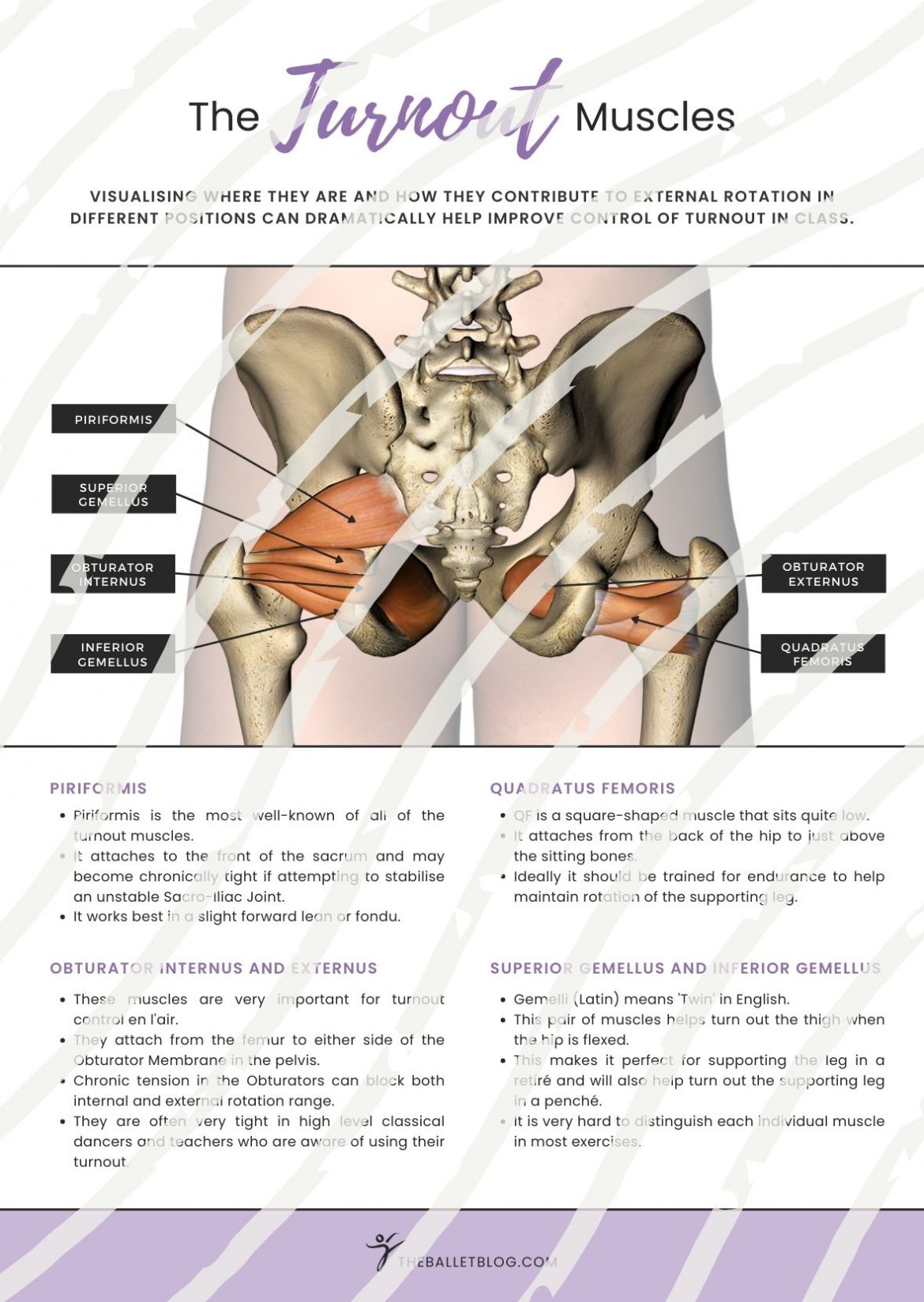 Training Turnout – The Ballet Blog