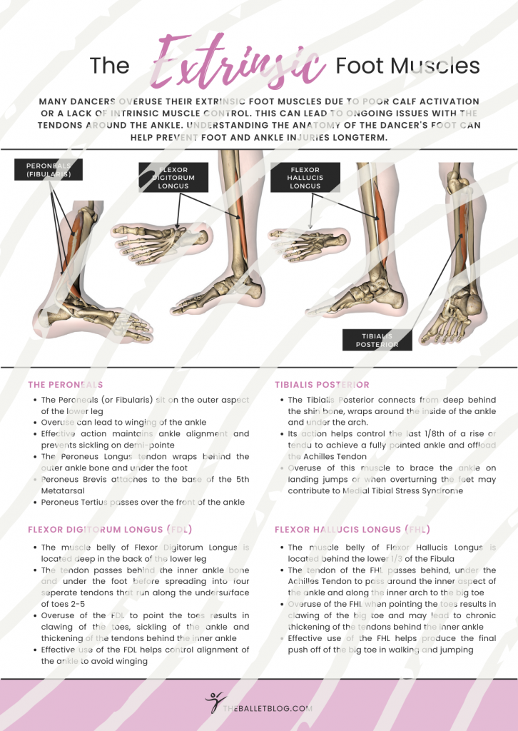 The Foot Series – PDF Posters – The Ballet Blog