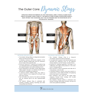 The Outer Core and Dynamic Slings (The Core Series) – The Ballet Blog