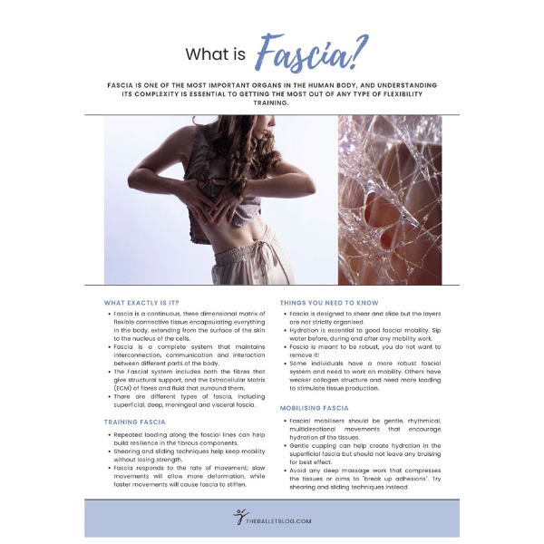 what is fascia 1