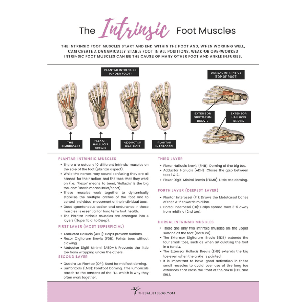 Intrinsic foot muscle poster