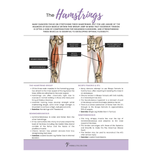 The Hamstrings (The Hip Series) – The Ballet Blog