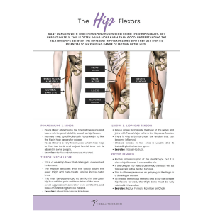 The Hip Flexors (The Hip Series) – The Ballet Blog