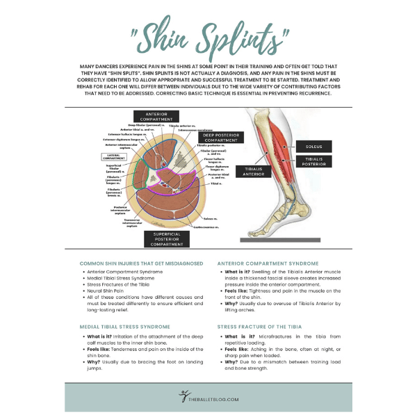 ROXOFIT Calf Brace for Torn Calf Muscle and Shin Splint Pain Relief - Calf  Compression Sleeve for Lower Leg Injury, Strain, Tear - Neoprene Runners  Tibia Splint…