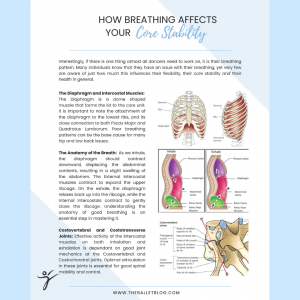 How Breathing Affects Your Core Stability – Free Pdf – The Ballet Blog