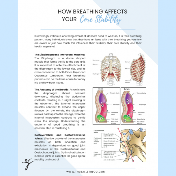 How Breathing Affects Your Core Stability – Free PDF – The Ballet Blog