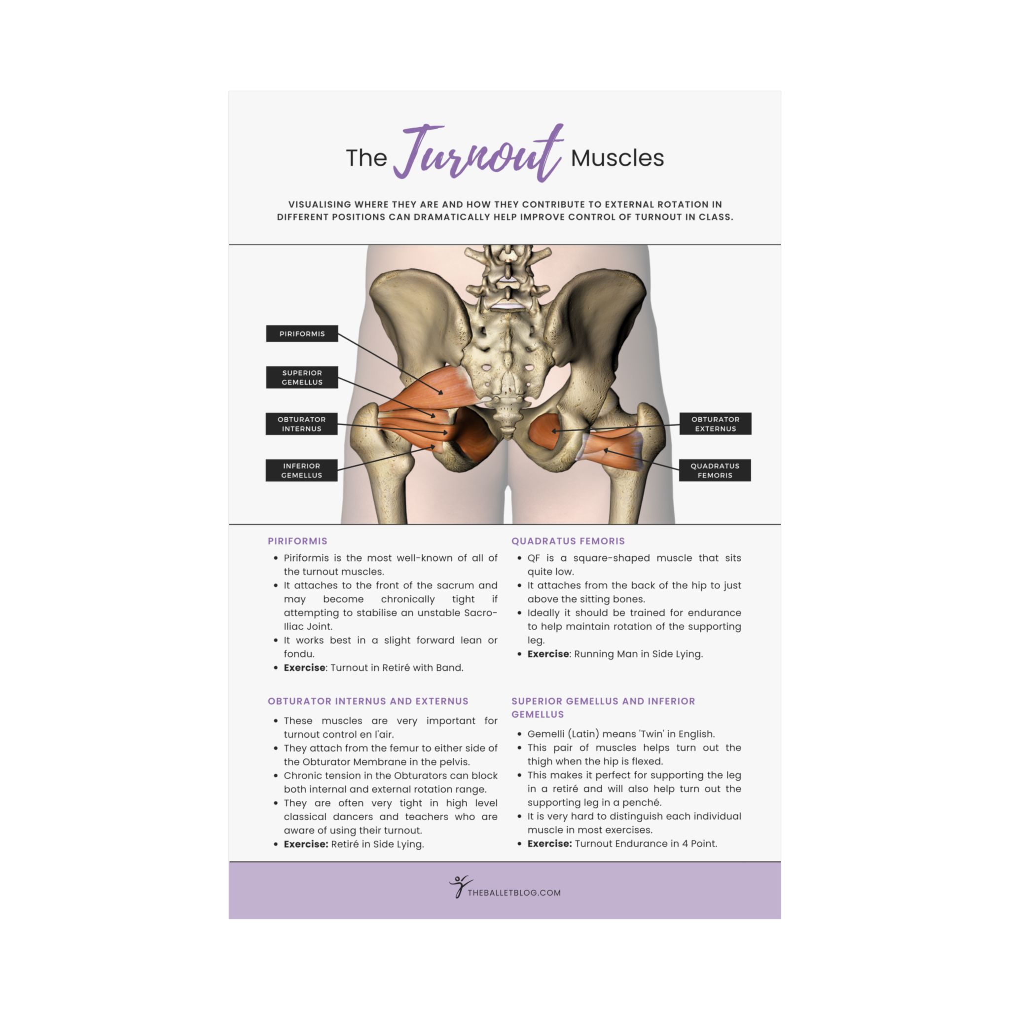 The Turnout Muscles (The Hip Series) - Image 5